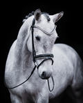 Pony Dressage Bridle No. 23 | Black