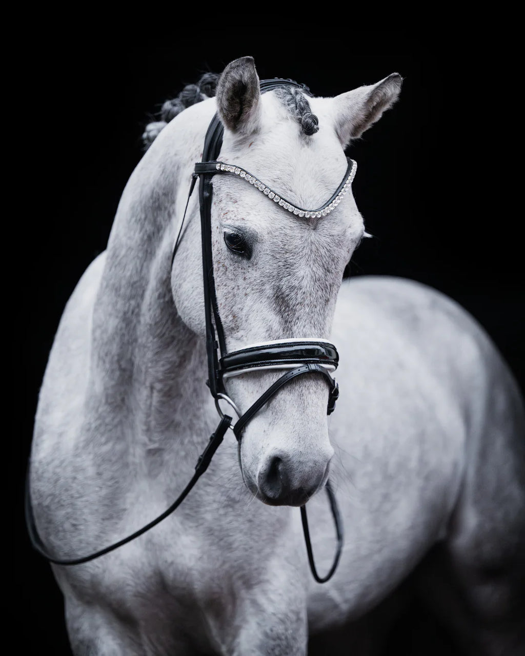 Pony Dressage Bridle No. 23 | Black