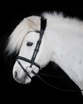 Native Bridle No. 21 | Black