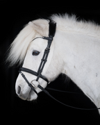 Native Bridle No. 21 | Black