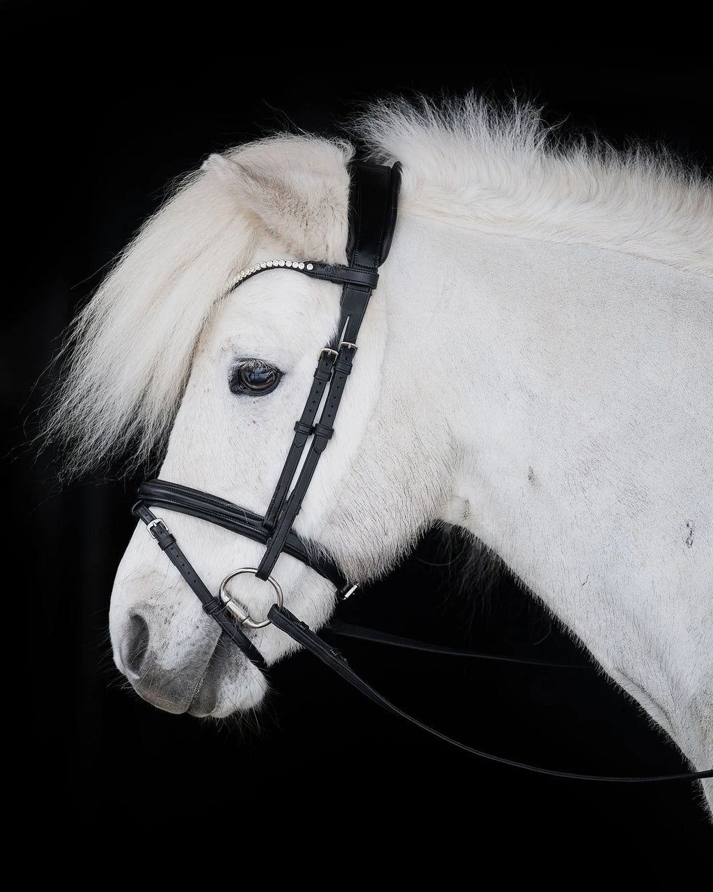Native Bridle No. 21 | Black