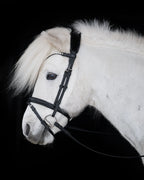 Native Bridle No. 21 | Black