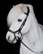 Native Bridle No. 20 | Black