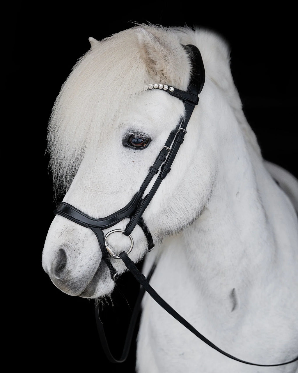 Native Bridle No. 20 | Black