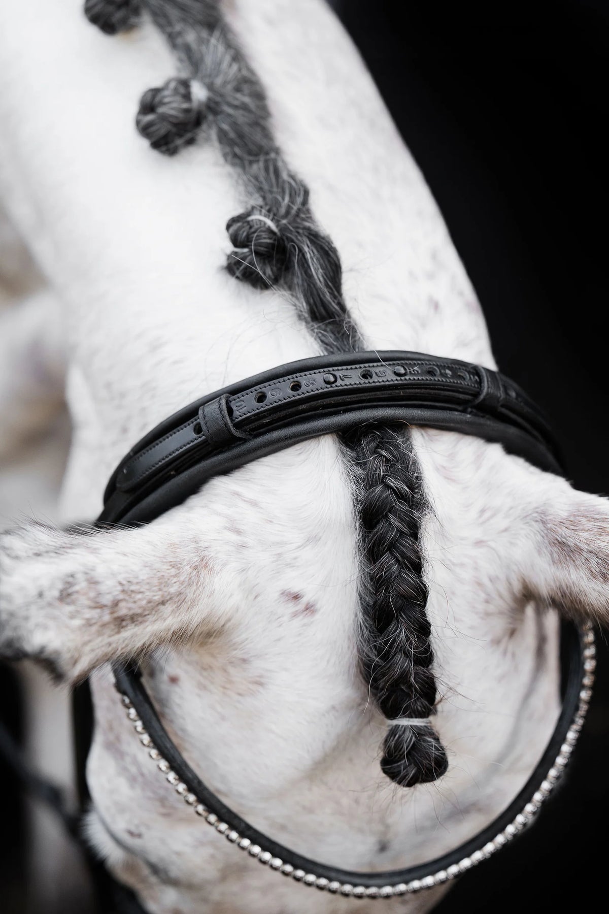 Narrow Dressage Headpiece (Black)