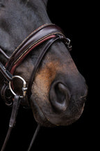 Bridle Rolled-Stitched – Matte Brown Crystal | No. 106