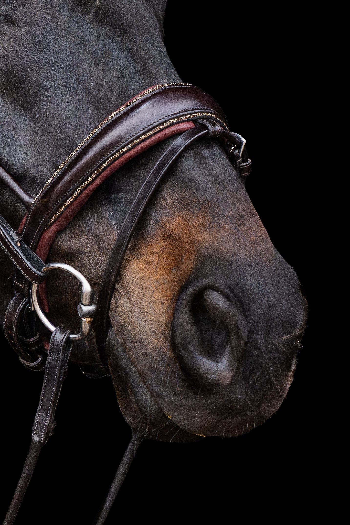 Bridle Rolled-Stitched – Matte Brown Crystal | No. 106