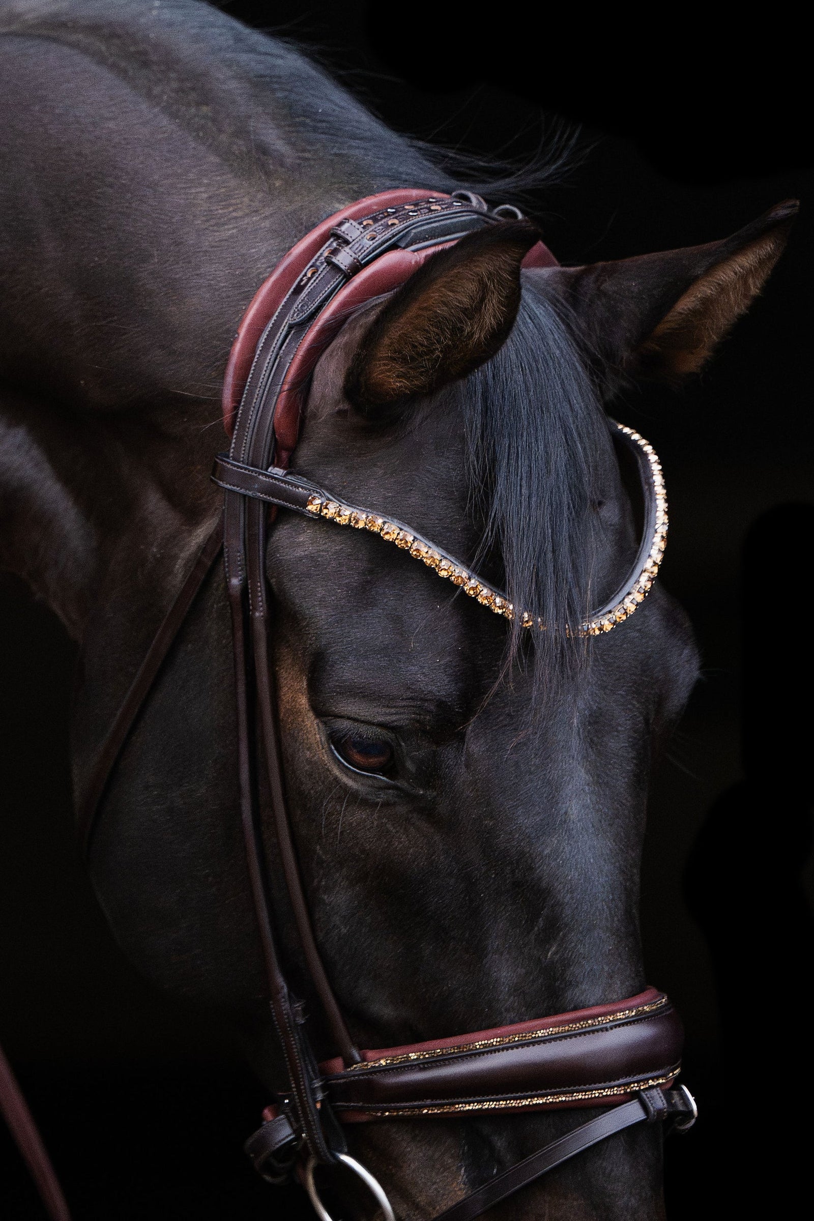 Bridle Rolled-Stitched – Matte Brown Crystal | No. 106