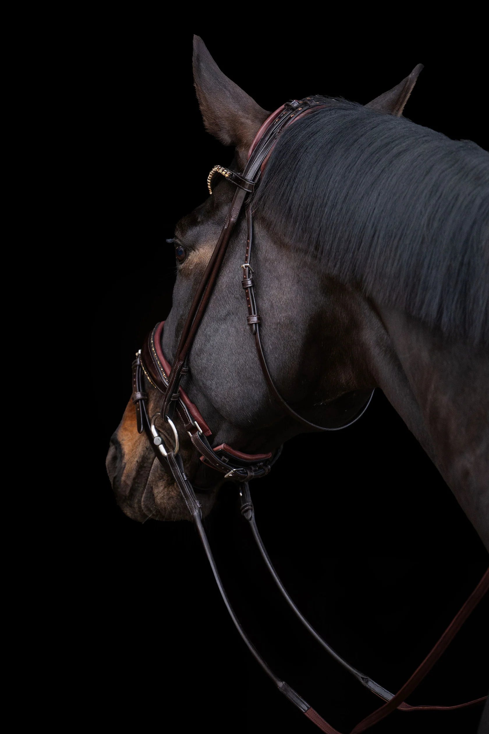Matte Crystal Bridle – Brown | No. 10