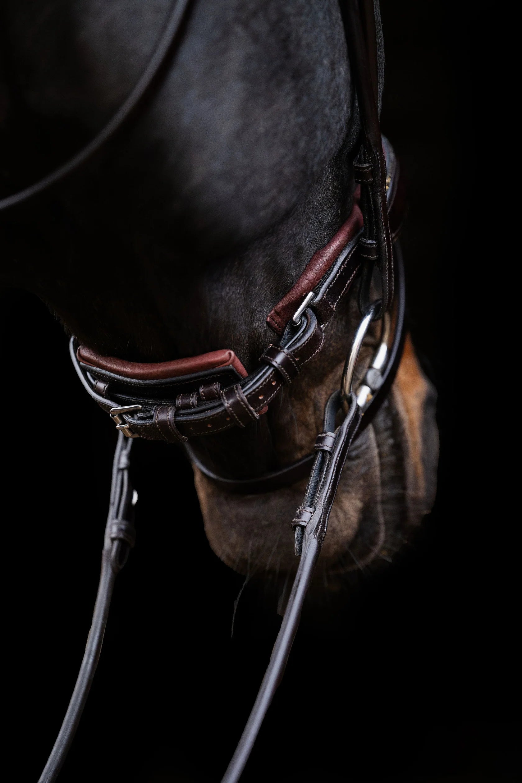 Matte Crystal Bridle – Brown | No. 10