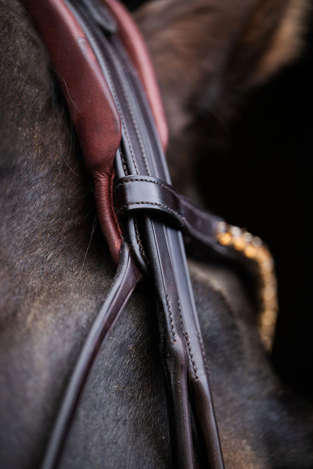 Matte Crystal Bridle – Brown | No. 10