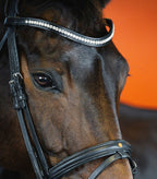 Crystal Clear Browband (6 mm) (Black) | No. 55