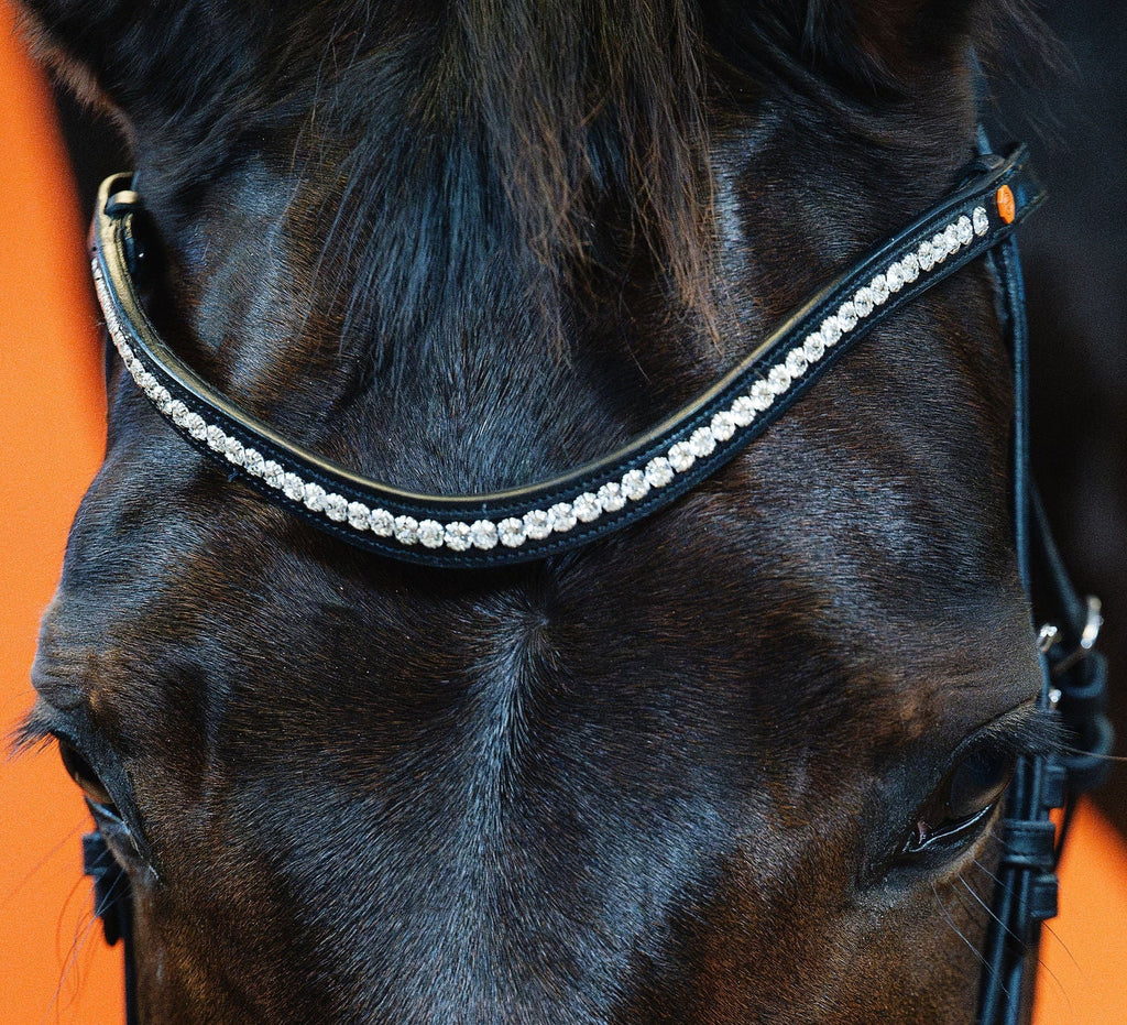 Crystal Clear Browband (6 mm) (Black) | No. 55