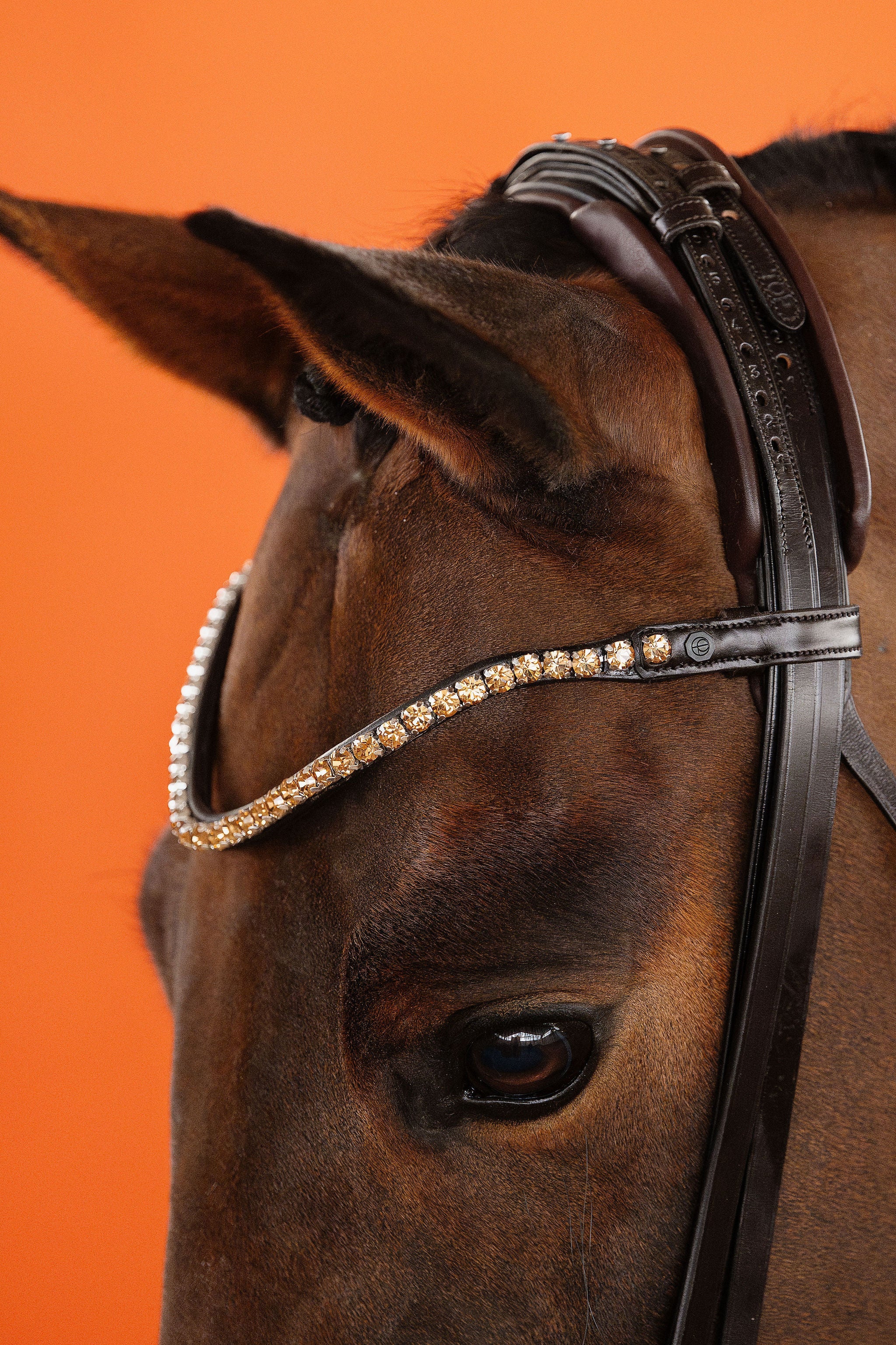 Dressage Bridle – Brown | No. 01