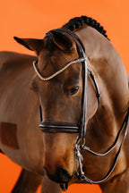 Double Bridle – Brown | No. 11
