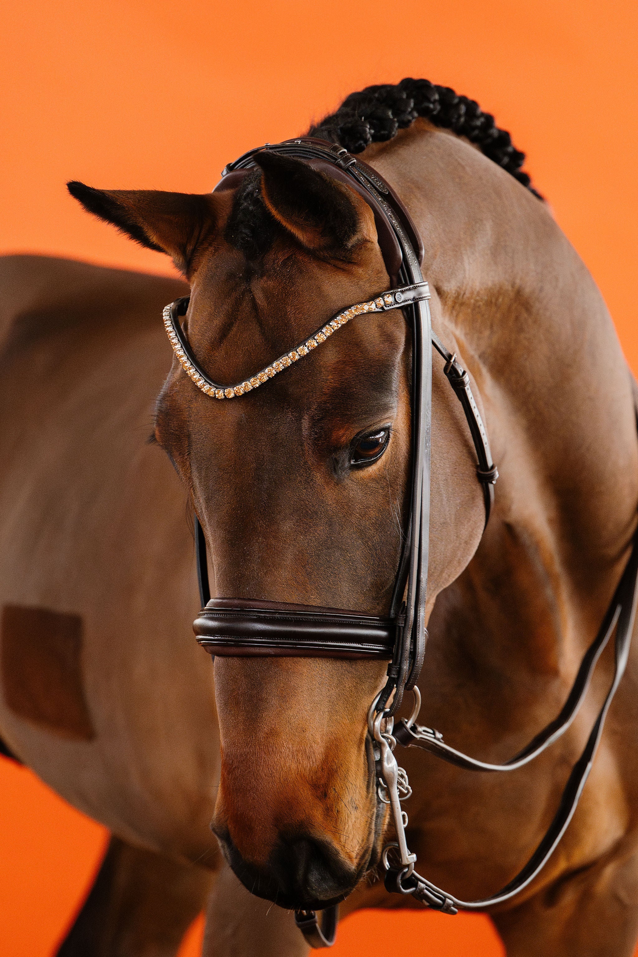 Double Bridle – Brown | No. 11