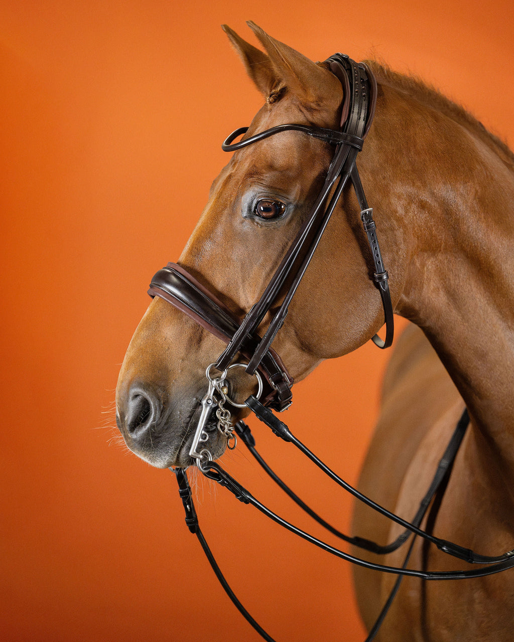 Round-Stitched Double Bridle – Brown | No. 03