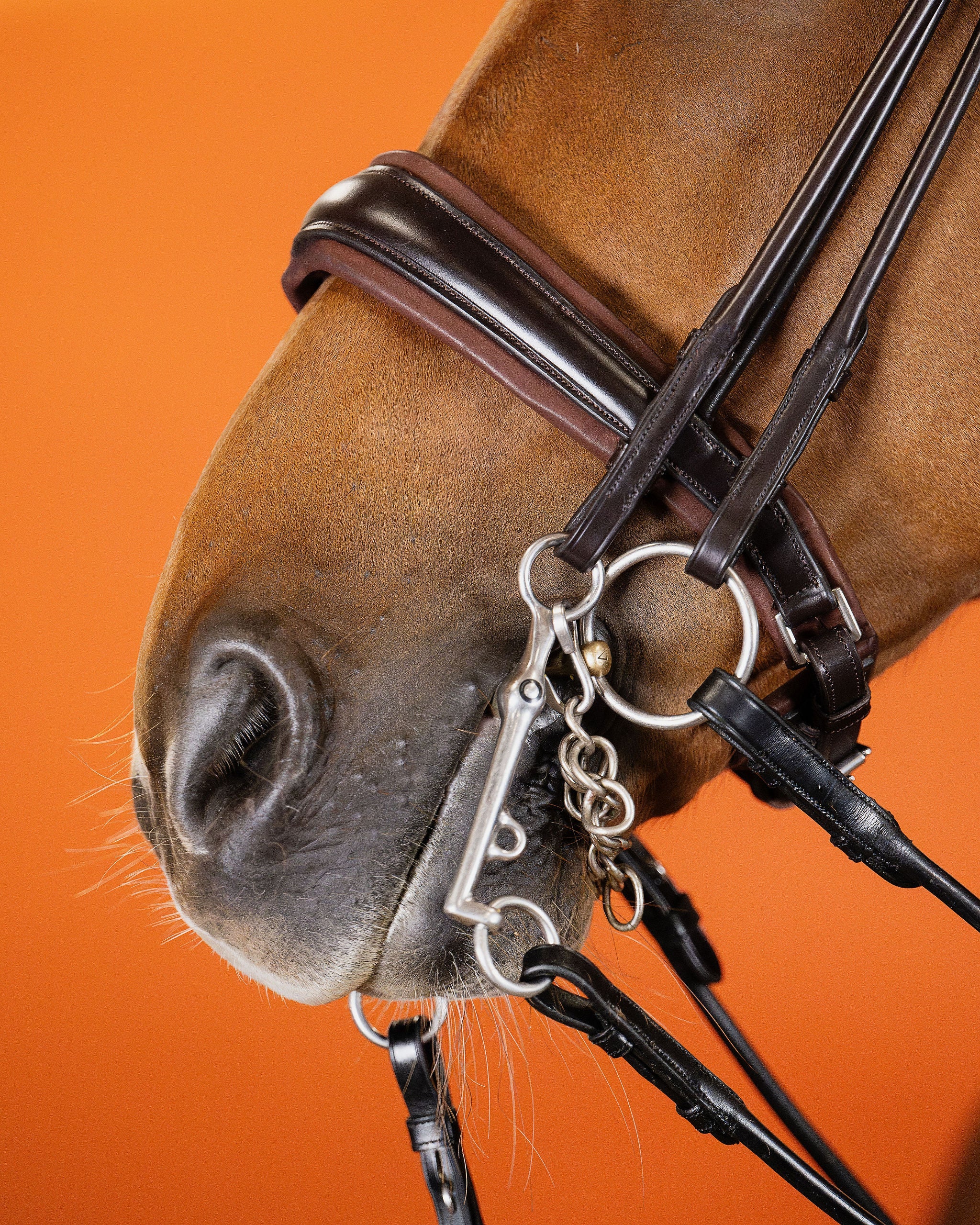 Round-Stitched Double Bridle – Brown | No. 03