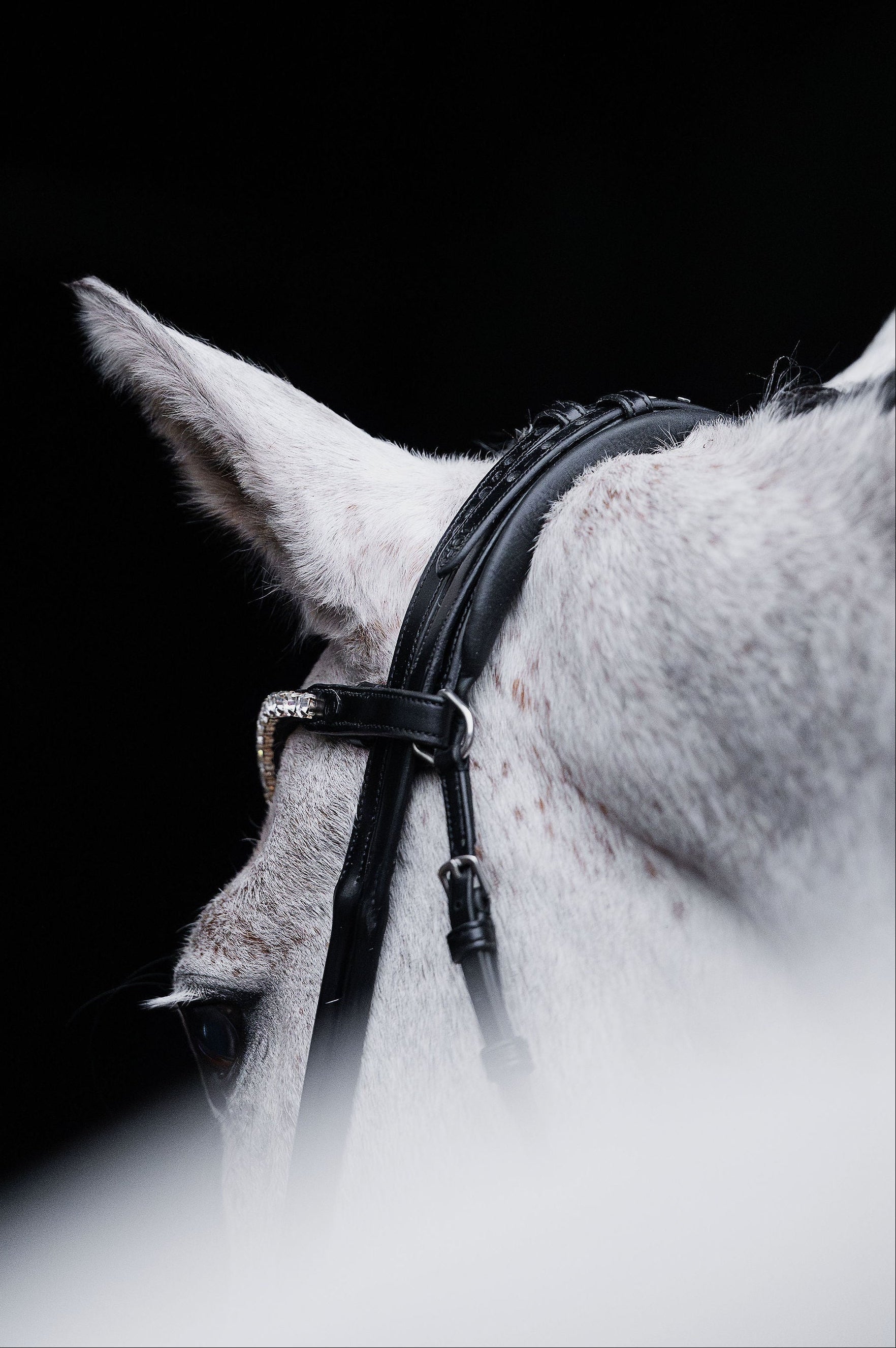 Crystal Clear Browband (8 mm) (Black) | No. 60