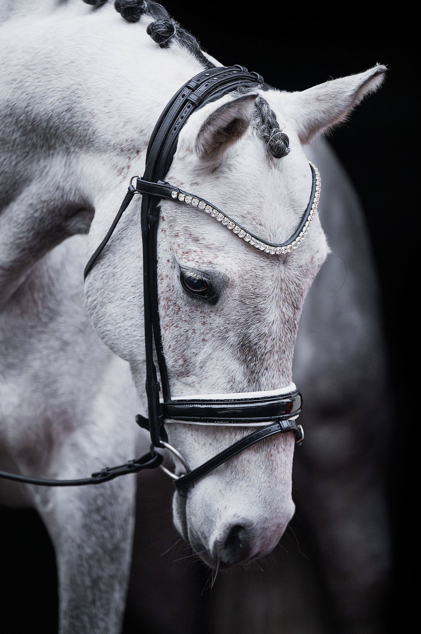 Crystal Clear Browband (8 mm) (Black) | No. 60