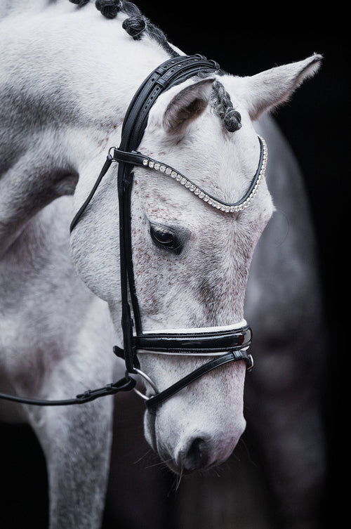 Crystal Clear Browband (8 mm) (Black) | No. 60