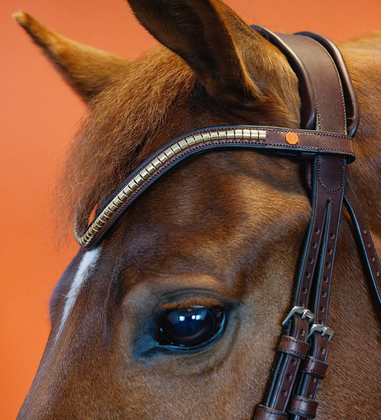 Clinker Browband (Brown) | No. 56