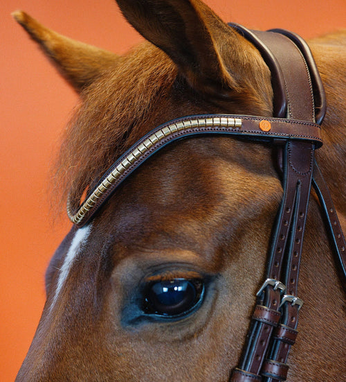 Clinches Browband (Brown) | No. 56