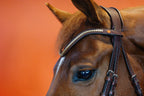 Combination Bridle – Brown | No. 08