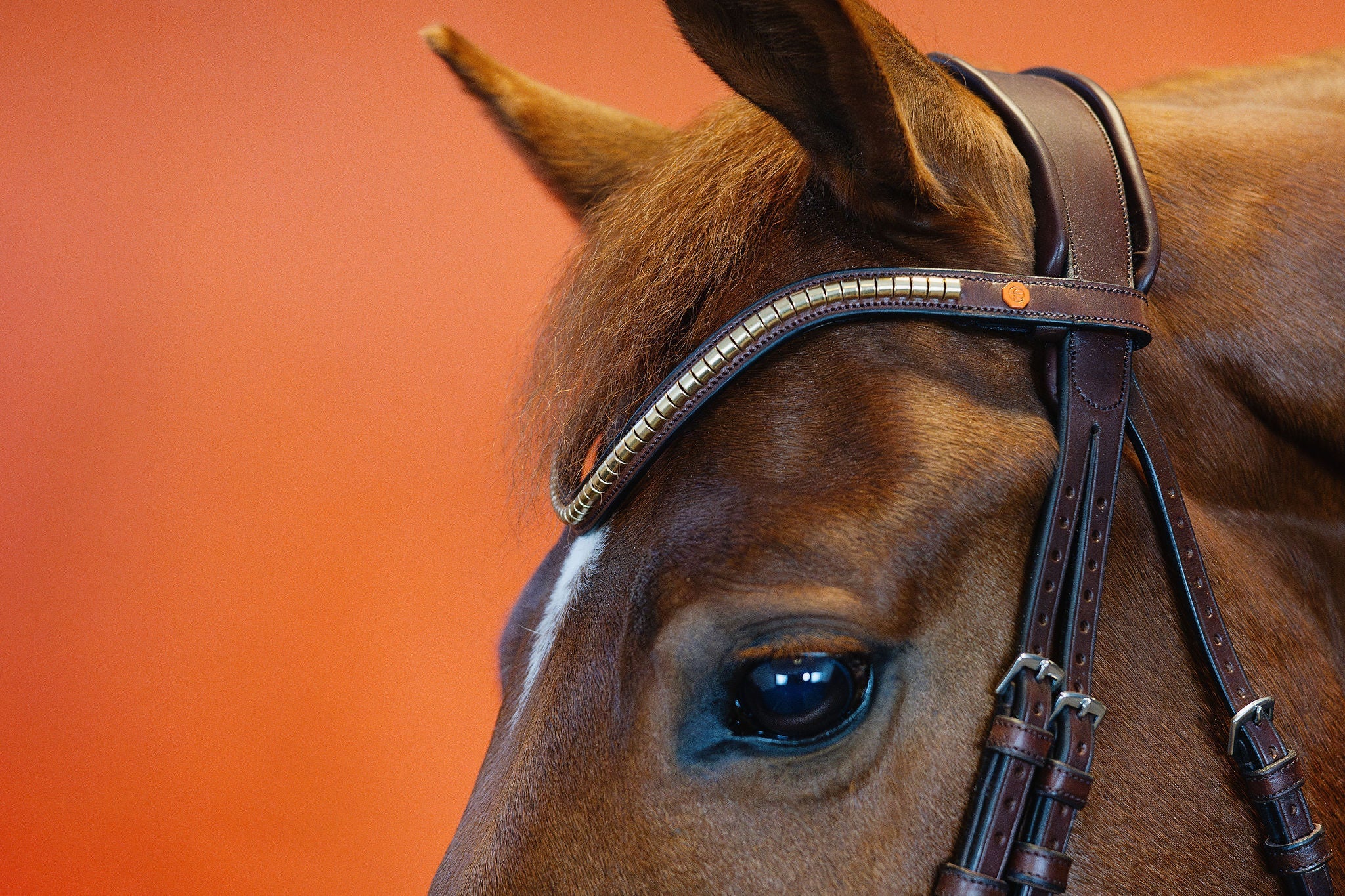 Combination Bridle – Brown | No. 08