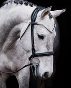 Pony Bridle No. 14 | Black