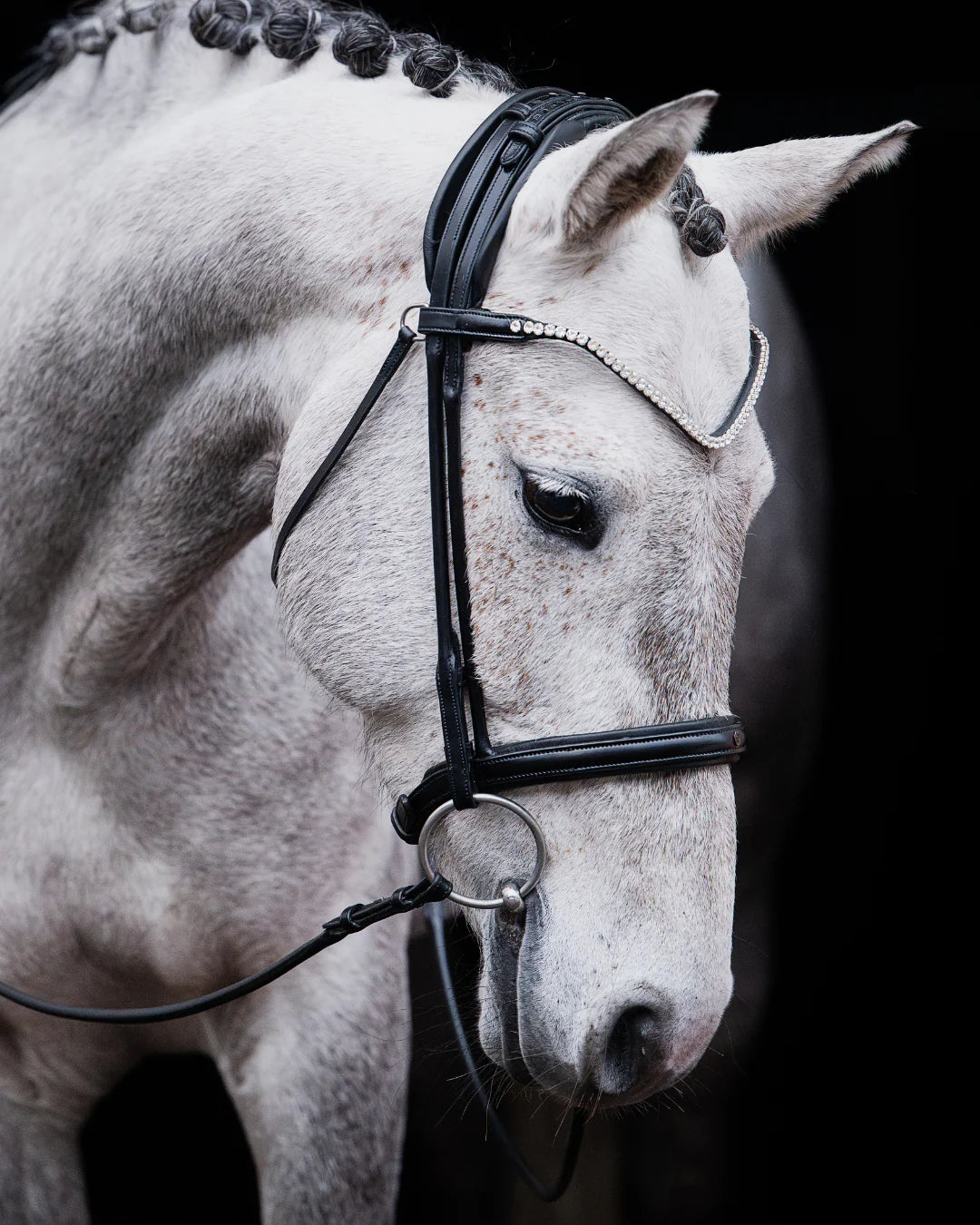 Pony Bridle No. 14 | Black
