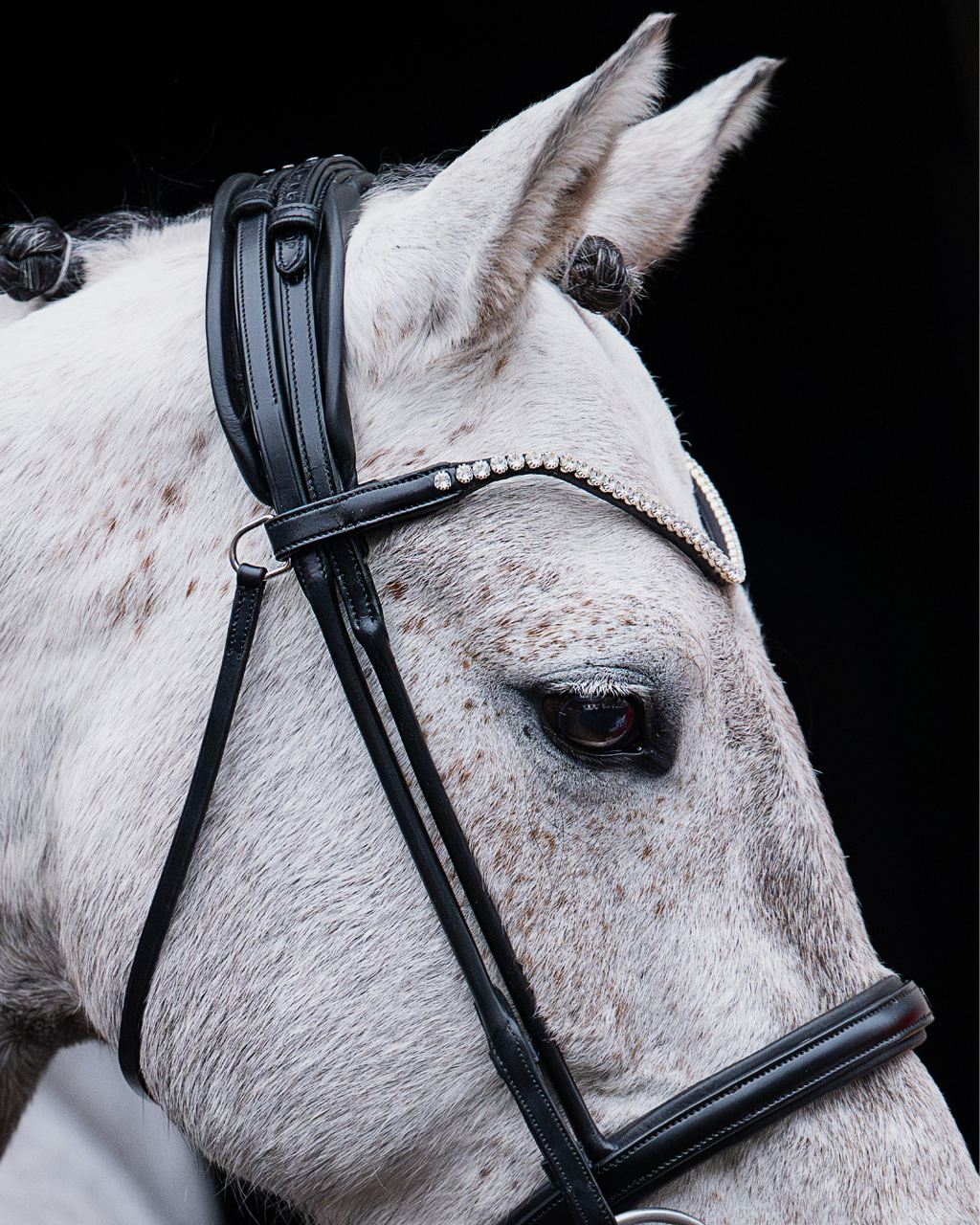 Pony Bridle No. 14 | Black