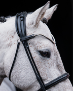 Pony Bridle No. 14 | Black