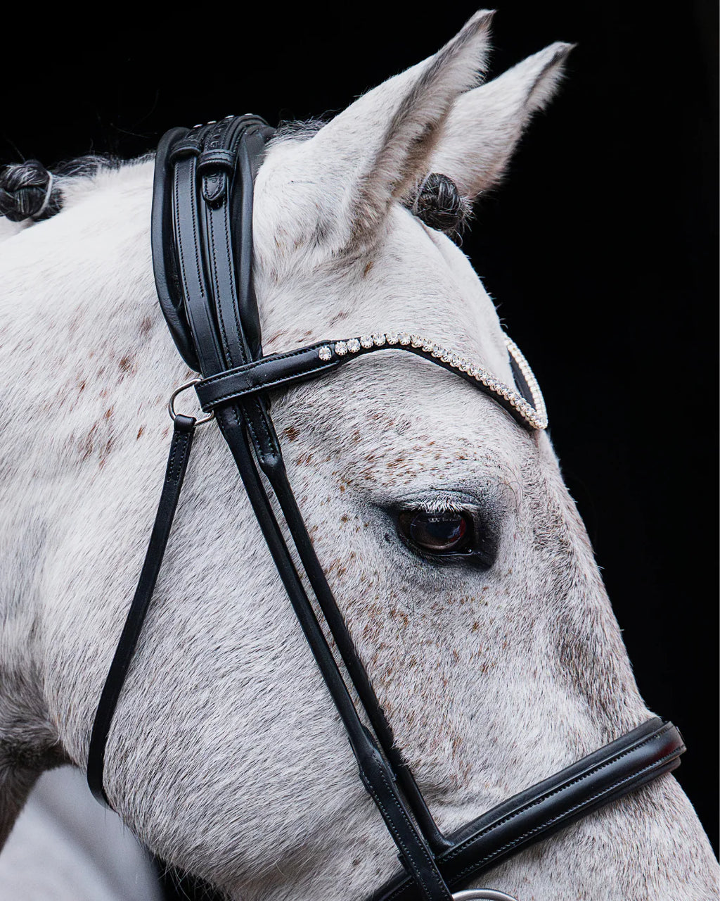 Pony Bridle No. 14 | Black