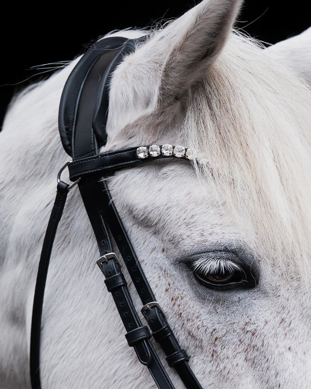 Pony Bridle No. 15 | Black