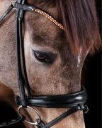 Pony Dressage Bridle No. 11 | Black