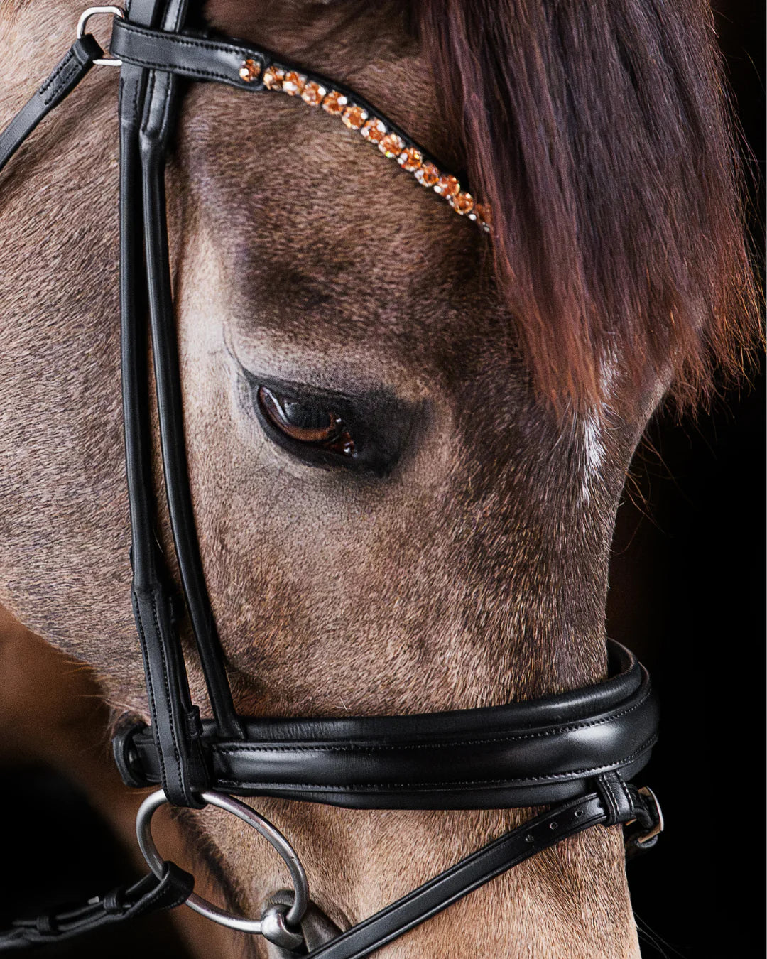 Pony Dressage Bridle No. 11 | Black