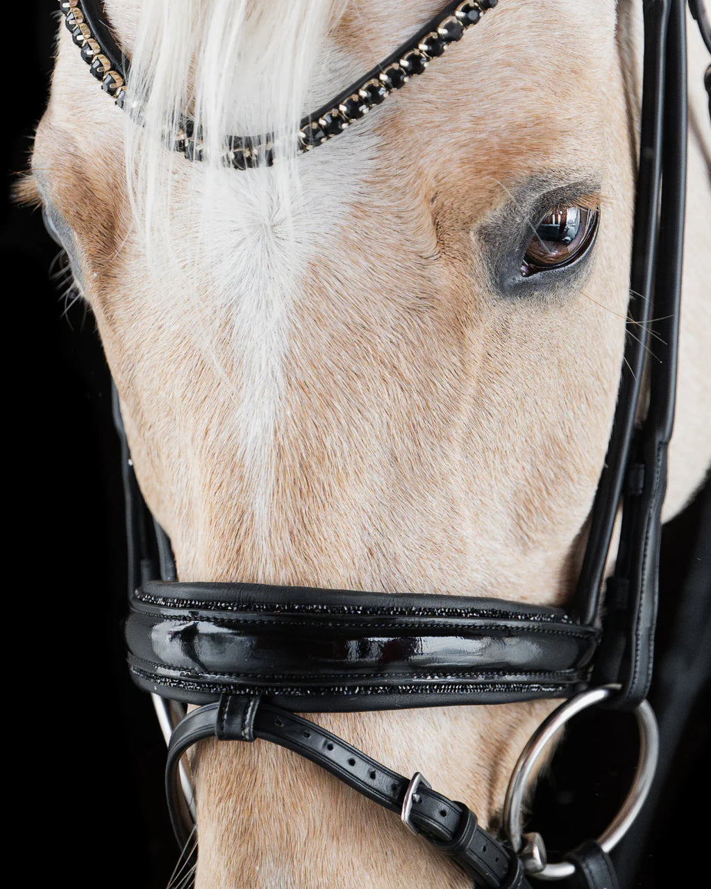 Pony Dressage Bridle No. 12 | Black