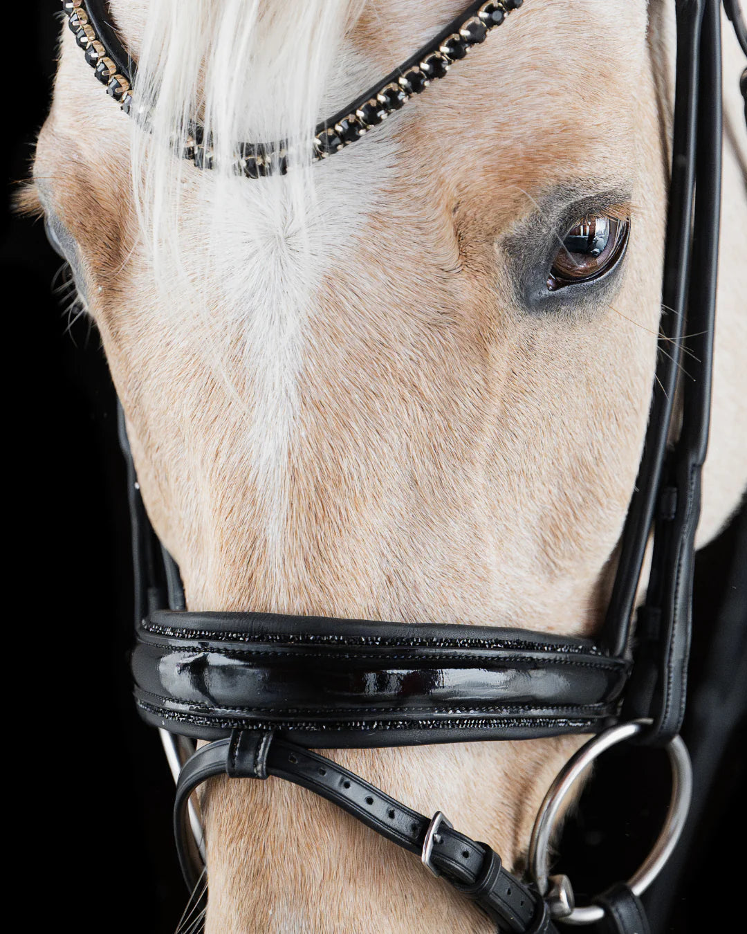 Pony Dressage Bridle No. 12 | Black