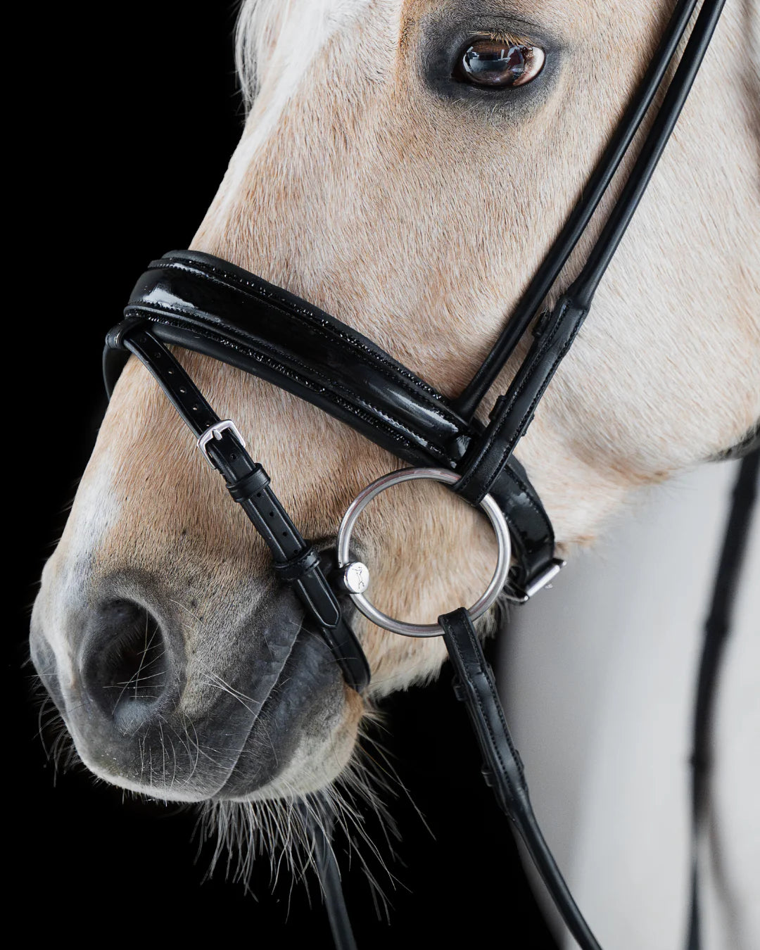 Pony Dressage Bridle No. 12 | Black