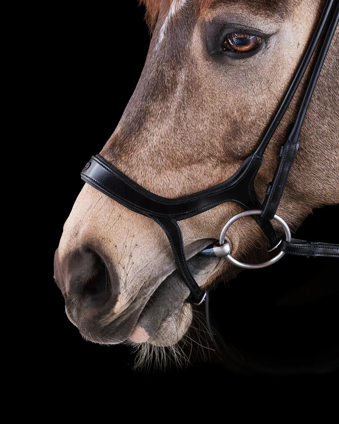 Pony Bridle No. 13 | Black