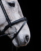 Pony Bridle No. 14 | Black
