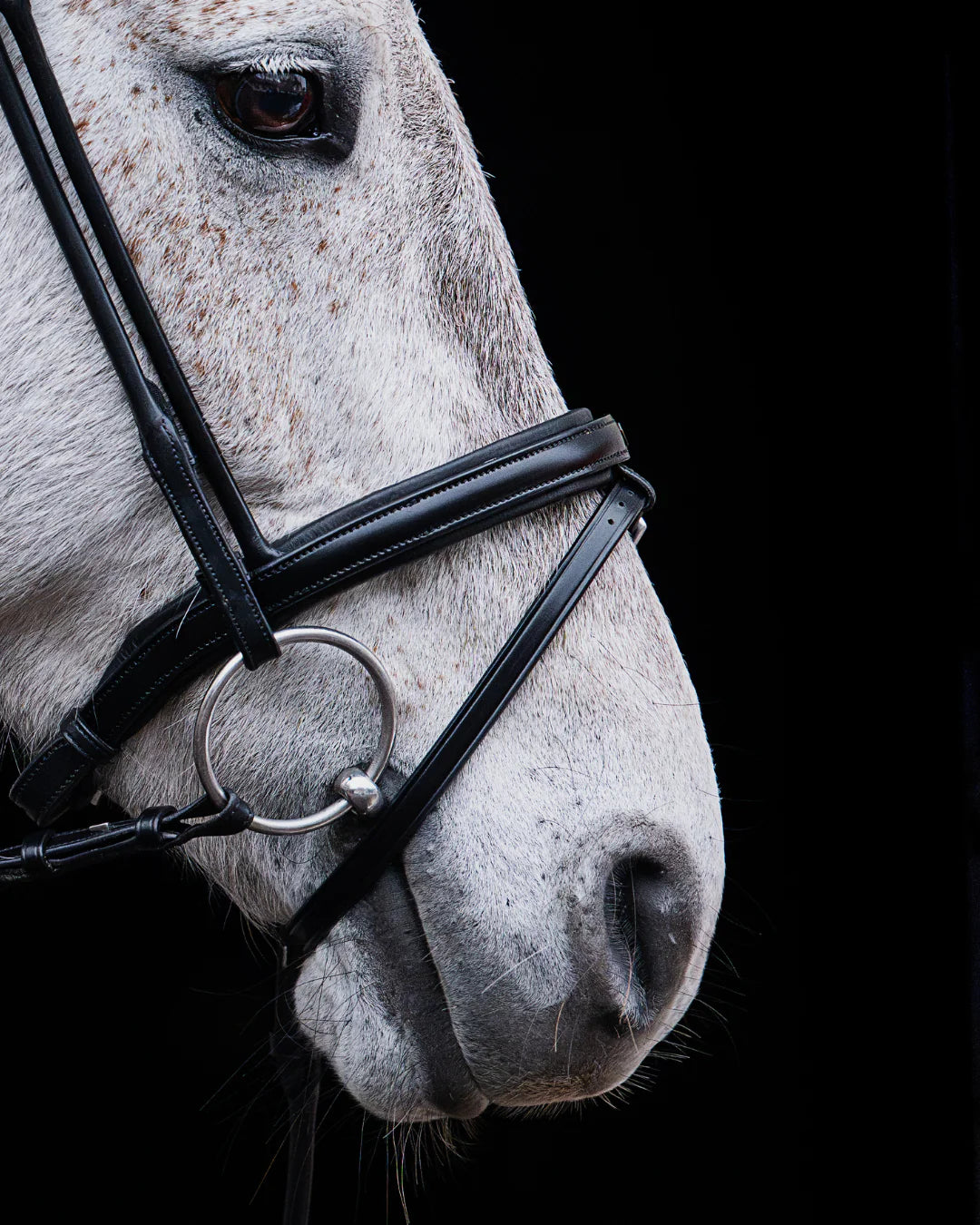 Pony Bridle No. 14 | Black