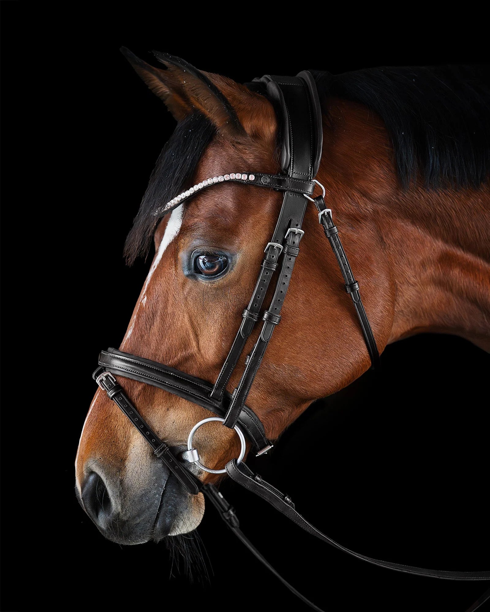 Pony Bridle No. 16 | Black