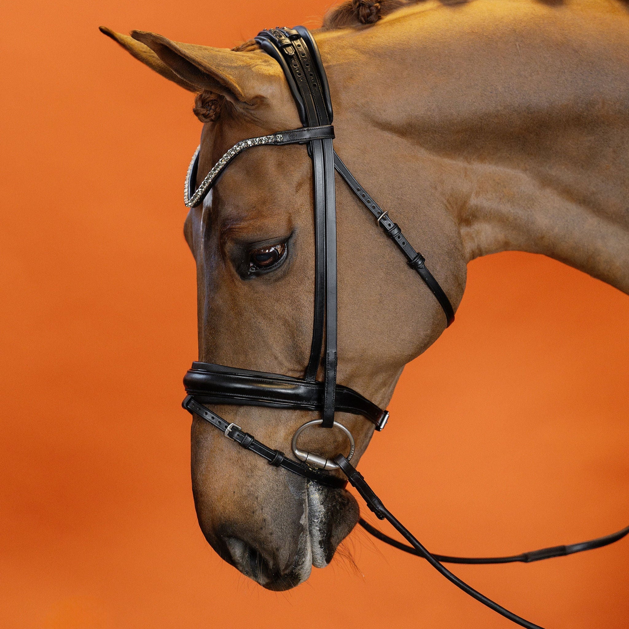 Dressage Noseband – Flat Leather (Black) | No. 91
