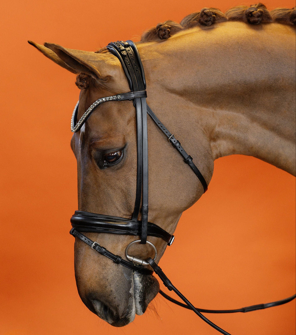 Black Diamond Crystal Browband (8 mm) (Black) | No. 53
