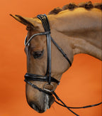 Black Diamond Crystal Browband (8 mm) (Black) | No. 53