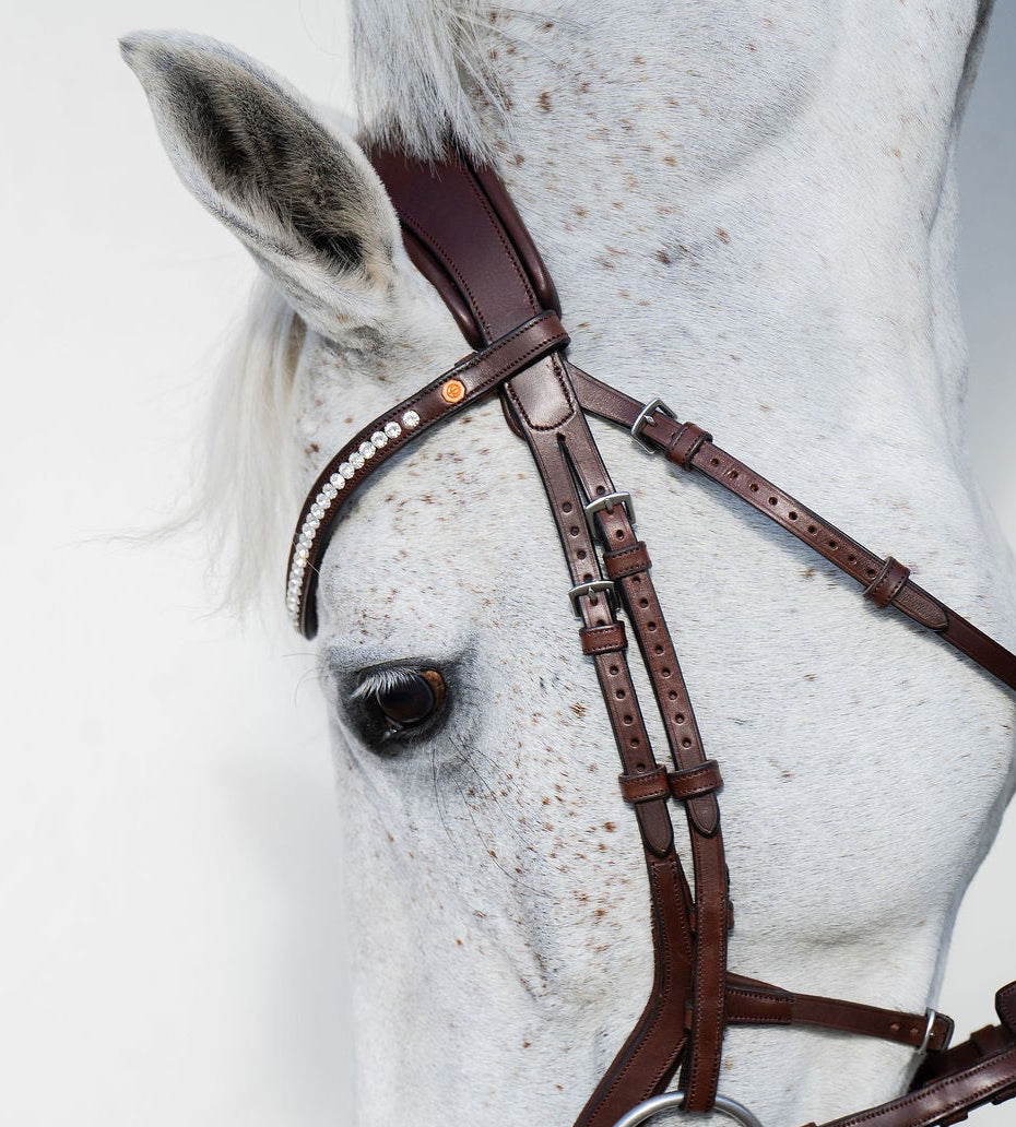 Crystal Clear Browband (6 mm) (Brown) | No. 55