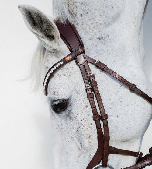 Crystal Clear Browband (6 mm) (Brown) | No. 55