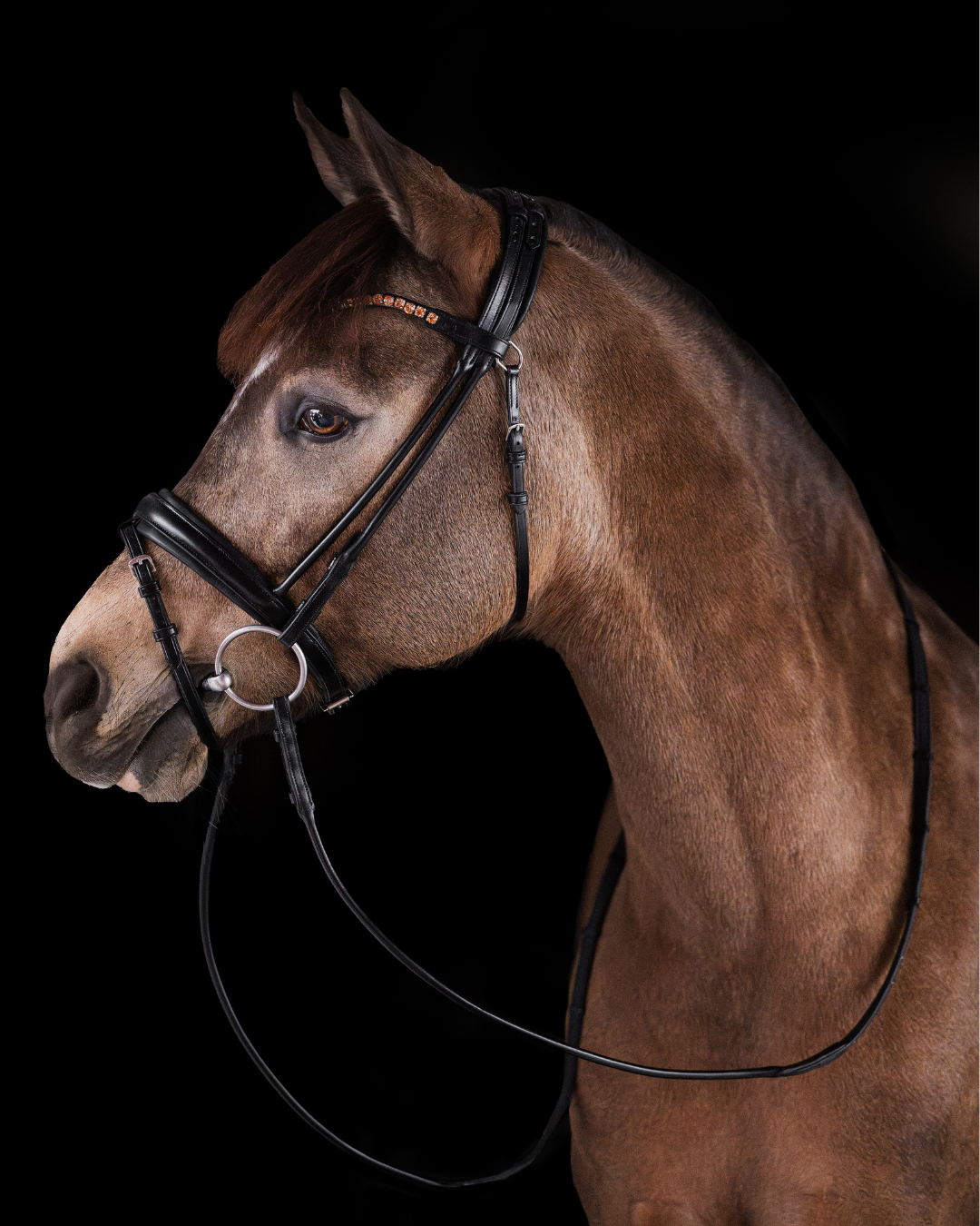 Pony Dressage Bridle No. 11 | Black